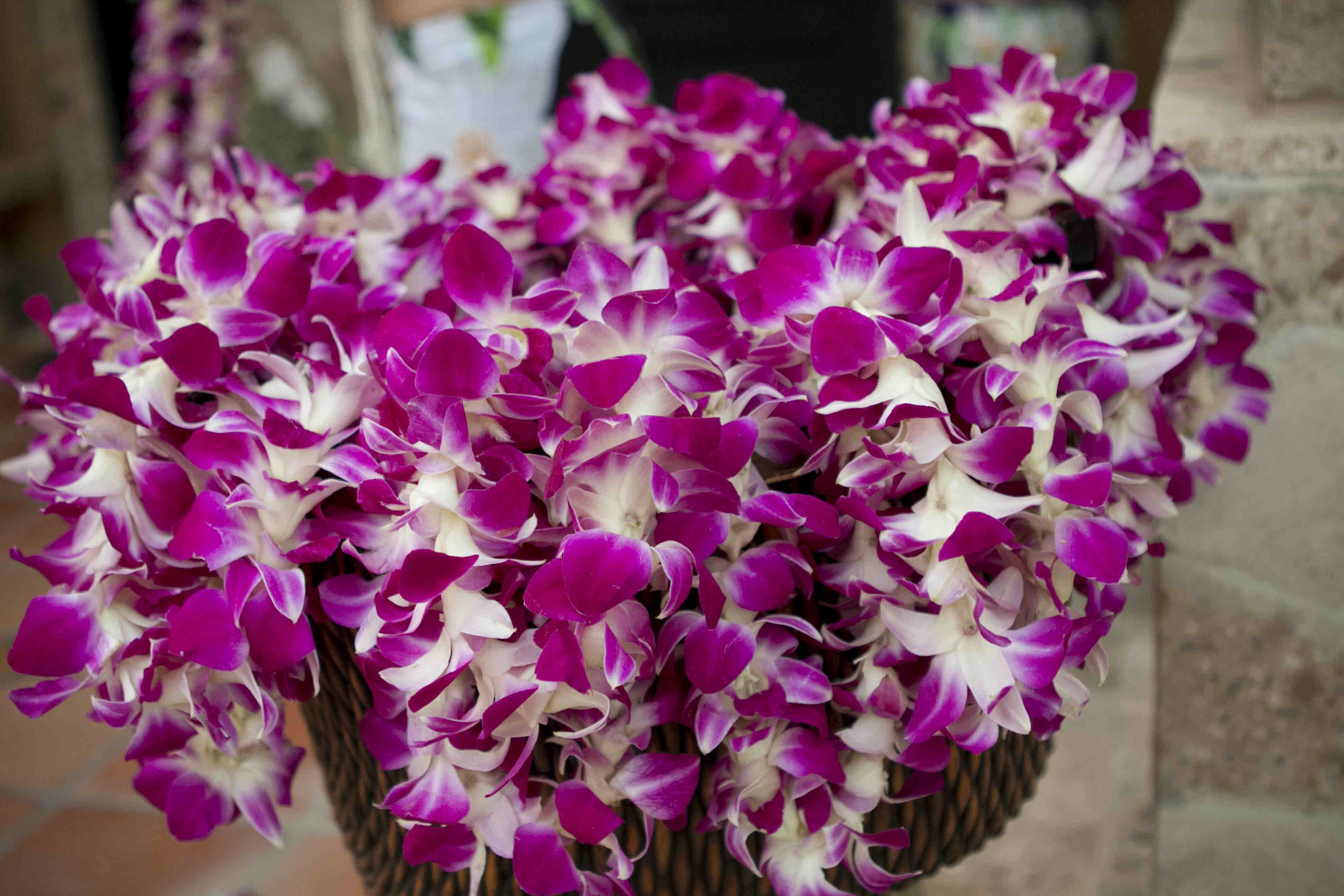 Manea Events outdoor luau setup with tropical garden and guests